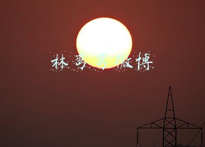 林弯弯微博