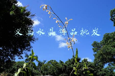 义乌水晶饰品批发
