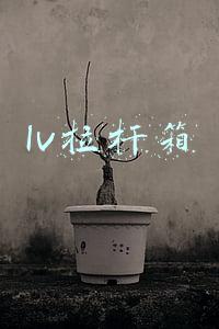 lv拉杆箱 lv拉杆箱