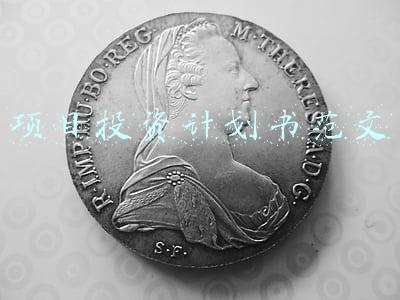 项目投资计划书范文