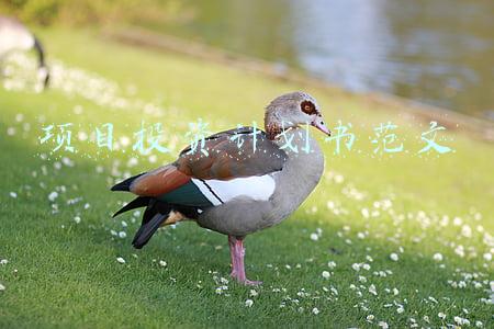 项目实施计划书范文(项目实施计划书编制目录)