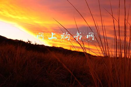 网上购书网