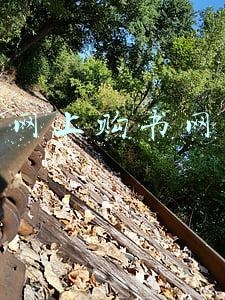 网上购书网