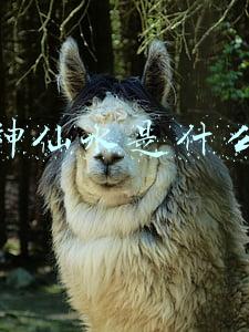 神仙水是什么