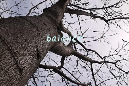 balance