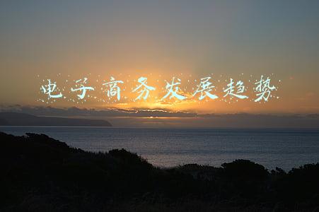 电子商务发展趋势