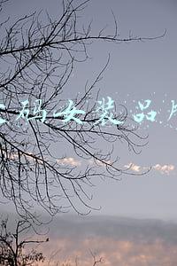 大码女装品牌