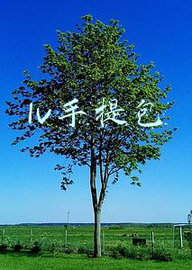 lv手提包
