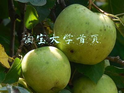 淘宝大学首页