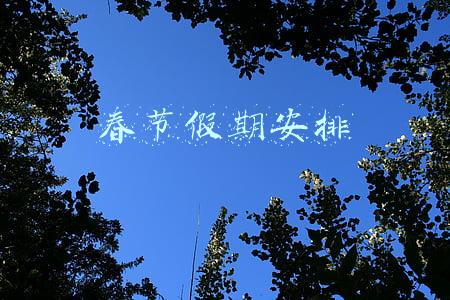 春节假期安排