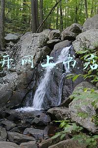 开网上书店