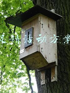 促销活动方案