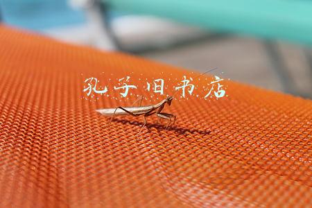 孔子旧书店