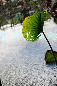 淘宝网怎么赚钱