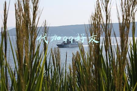 代加QQ好友(疯狂扩列加好友，小心遇上“大灰狼”)