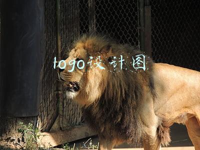 logo设计图