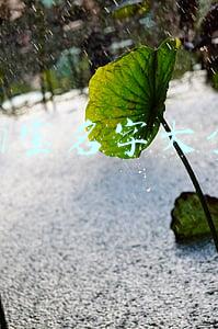 淘宝名字大全