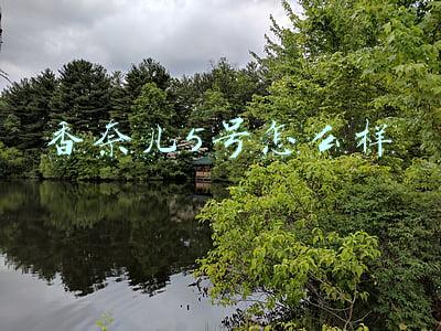 香奈儿5号怎么样