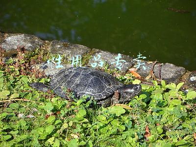 性用品专卖 性用品专卖