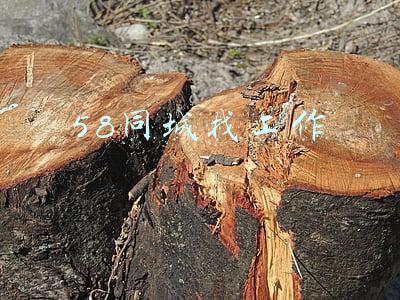 58同城找工作网(58同城招聘研究院东北招聘求职大数据：公交/地铁乘务周招聘需求同比增长693%)