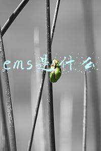 ems是什么