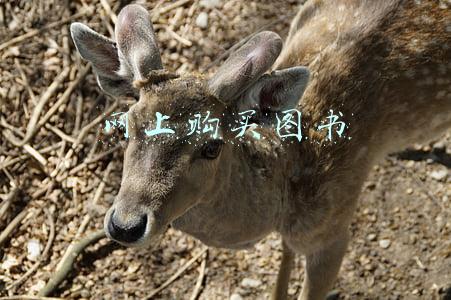 网上购买图书