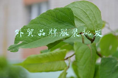 外贸品牌服装批发