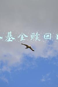 债券型基金赎回时间(债券基金频遭大额赎回)