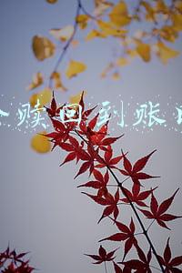 基金赎回到账时间