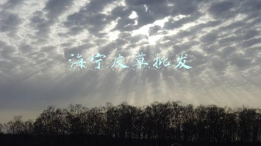 海宁皮草批发