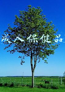 成人保健品代理怎么加盟(大健康产业—东方神农道家药浴（面向全国诚招代理加盟）)
