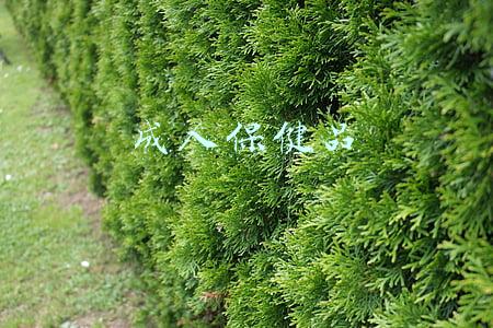 成人保健品批发市场(青山区市场监督管理局全覆盖检查 全面规范保健市场)