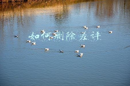 如何删除差评