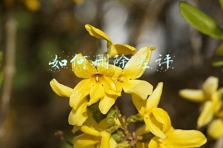 抖音上买东西如何删除差评(网络差评的“红”与“黑”：有人将写差评当成牟利手段，有人因给差评遭到报复)