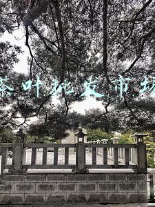 茶叶批发市场