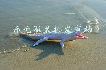 东莞服装批发市场