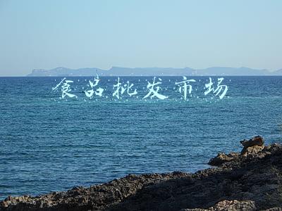 食品批发市场