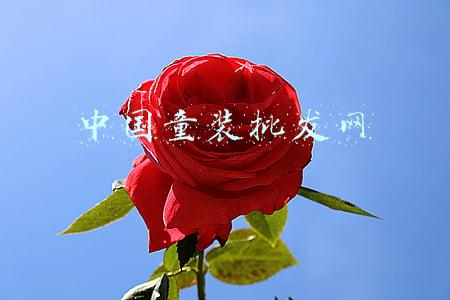 中国童装批发网