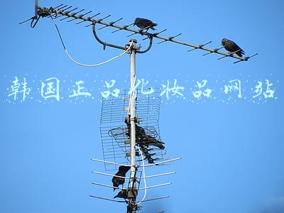 韩国正品化妆品网站 韩国正品化妆品网站