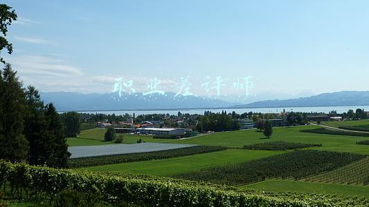 职业差评师