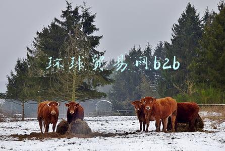 环球贸易网b2b