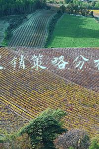 促销策略分析