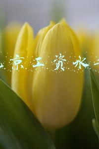 北京工资水平