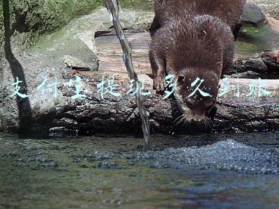 支付宝提现多久到账