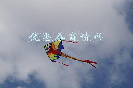 优惠券商情网