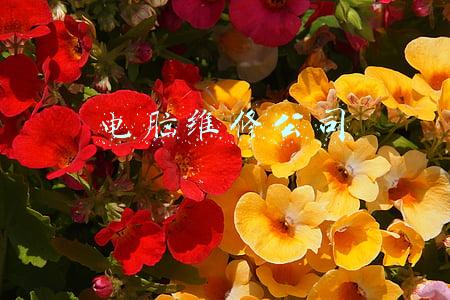 电脑维修公司