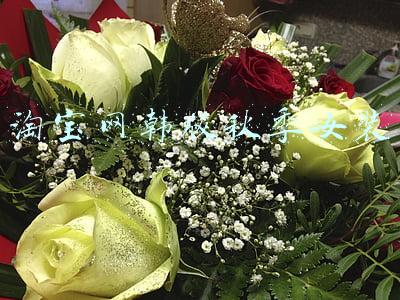 淘宝网韩版女装新款(淘宝店铺 萌新小店 懒人部落时尚女装)