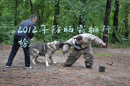2015年6月防晒霜(2015年6月英语四级仔细阅读答案点评试卷一)