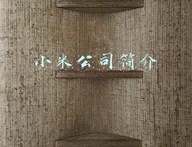 小米公司简介