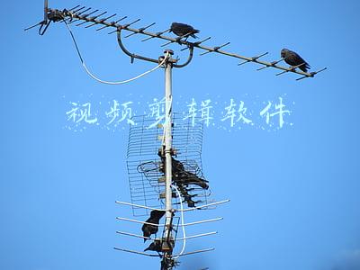 视频剪辑软件